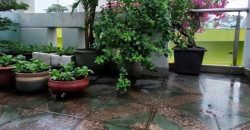 Sân thượng nhà Gò Vấp dưới 8 tỷ đường Nguyễn Văn Khối, Phường 8, Quận Gò Vấp rộng thoáng, thích hợp thư giãn và trồng cây xanh.