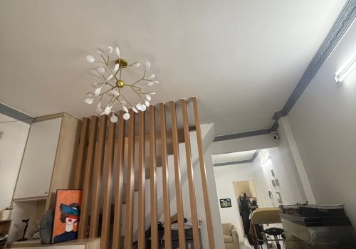 Bán Nhà Đường Thống Nhất Phường 11 Gò Vấp 50m² giá 4,7 tỷ 2 Tầng